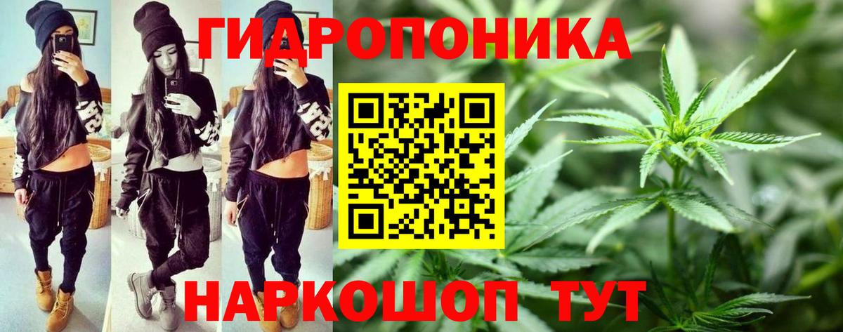 Шишки марихуана White Widow Азнакаево